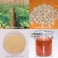 American Ginseng Root Extract ()